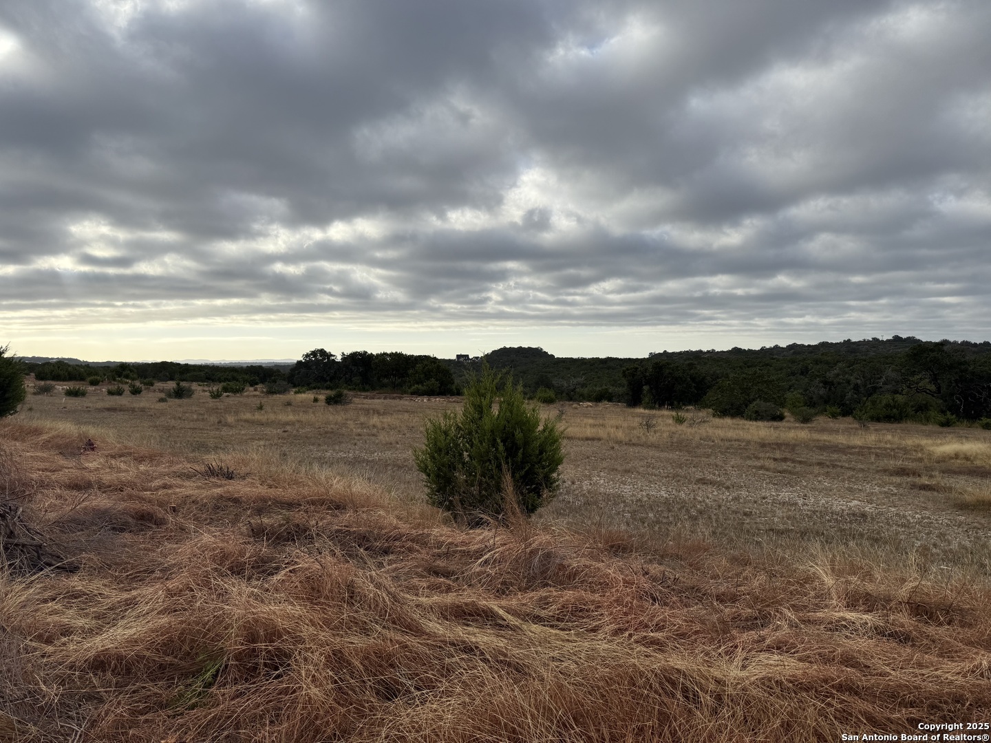 1629 Canyon Spring Branch TX 78070