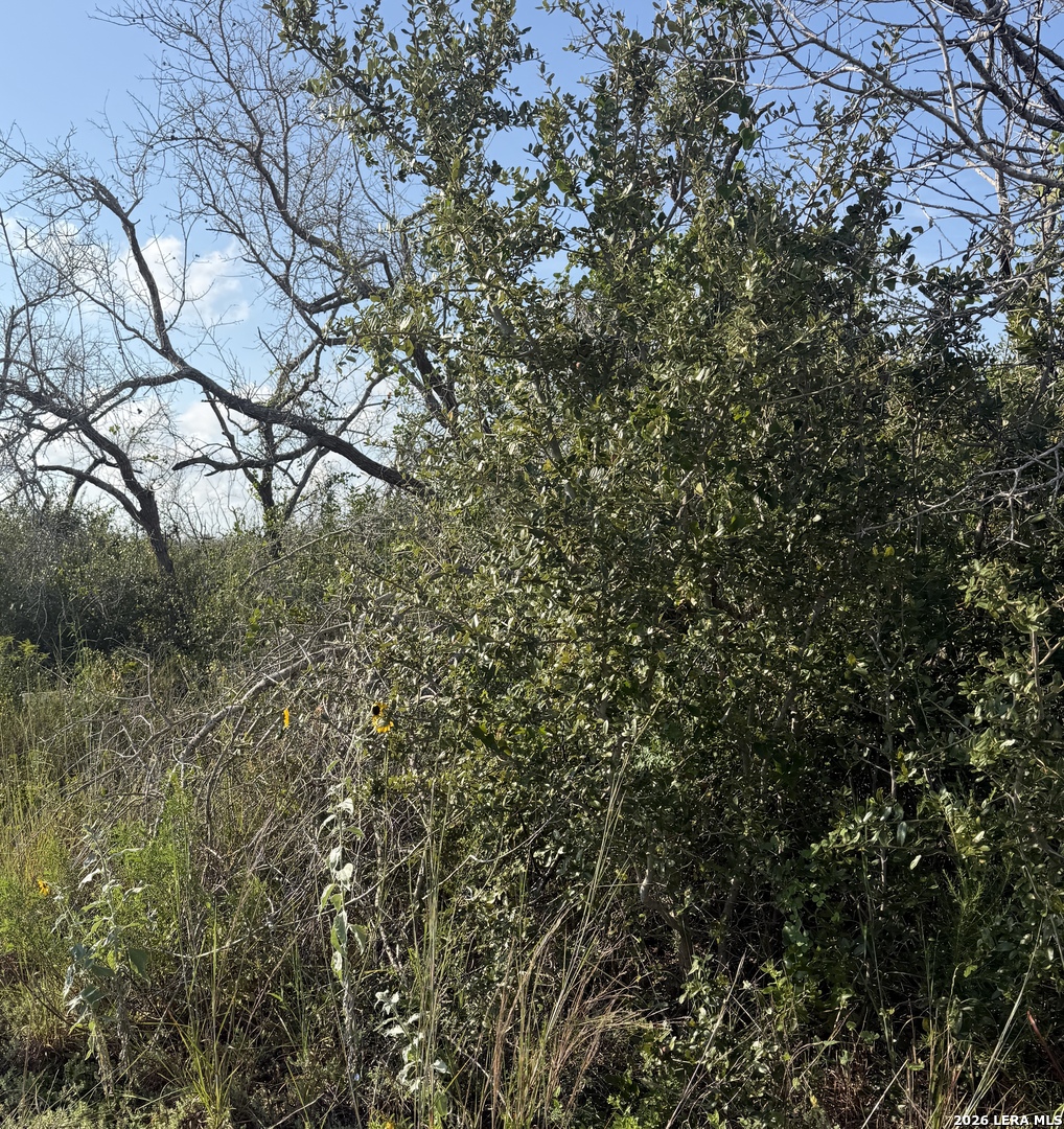 Tbd N 10th Aransas Pass TX 78336
