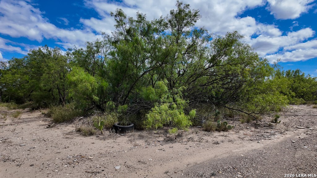 32 Borjon Drive Eagle Pass TX 78852