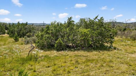 14 Joshua Ranch Comfort TX 78013