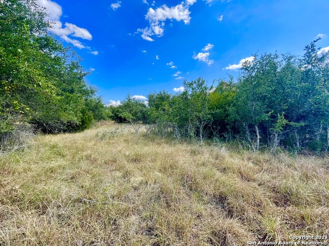 140 N Calvin Barrett Blanco TX 78606