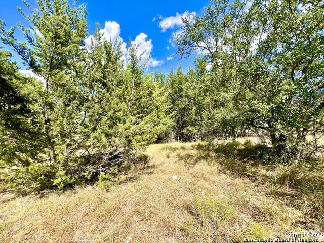 140 N Calvin Barrett Blanco TX 78606