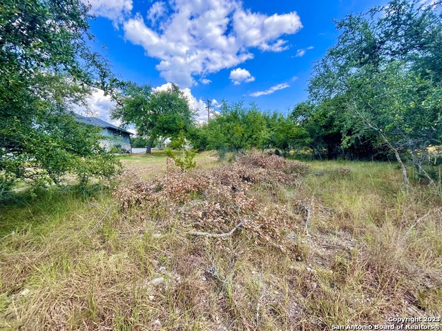 140 N Calvin Barrett Blanco TX 78606