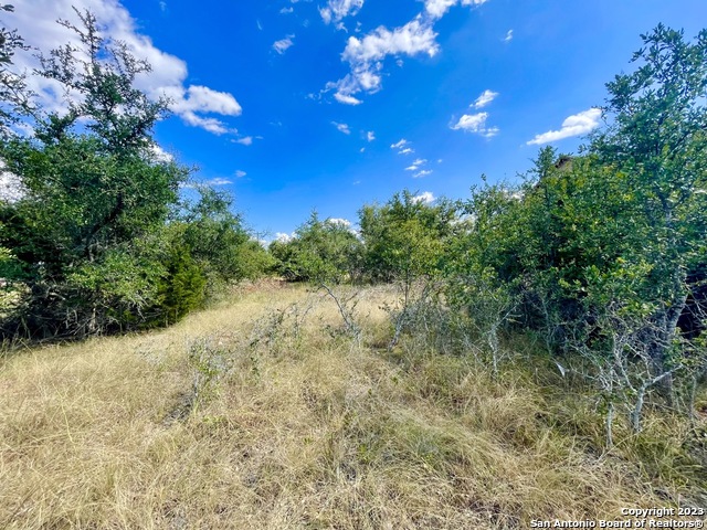 140 N Calvin Barrett Blanco TX 78606