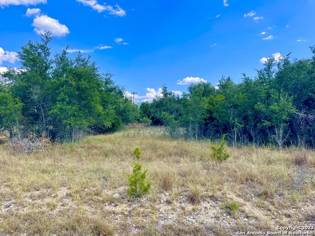 140 N Calvin Barrett Blanco TX 78606