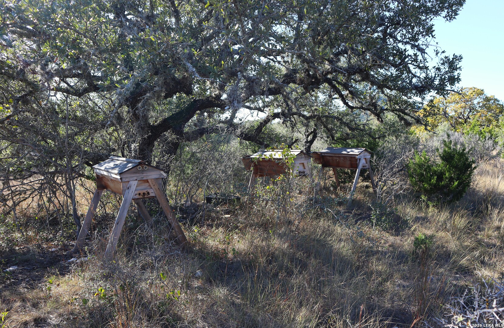 Lot 5 Sophie Bandera TX 78003