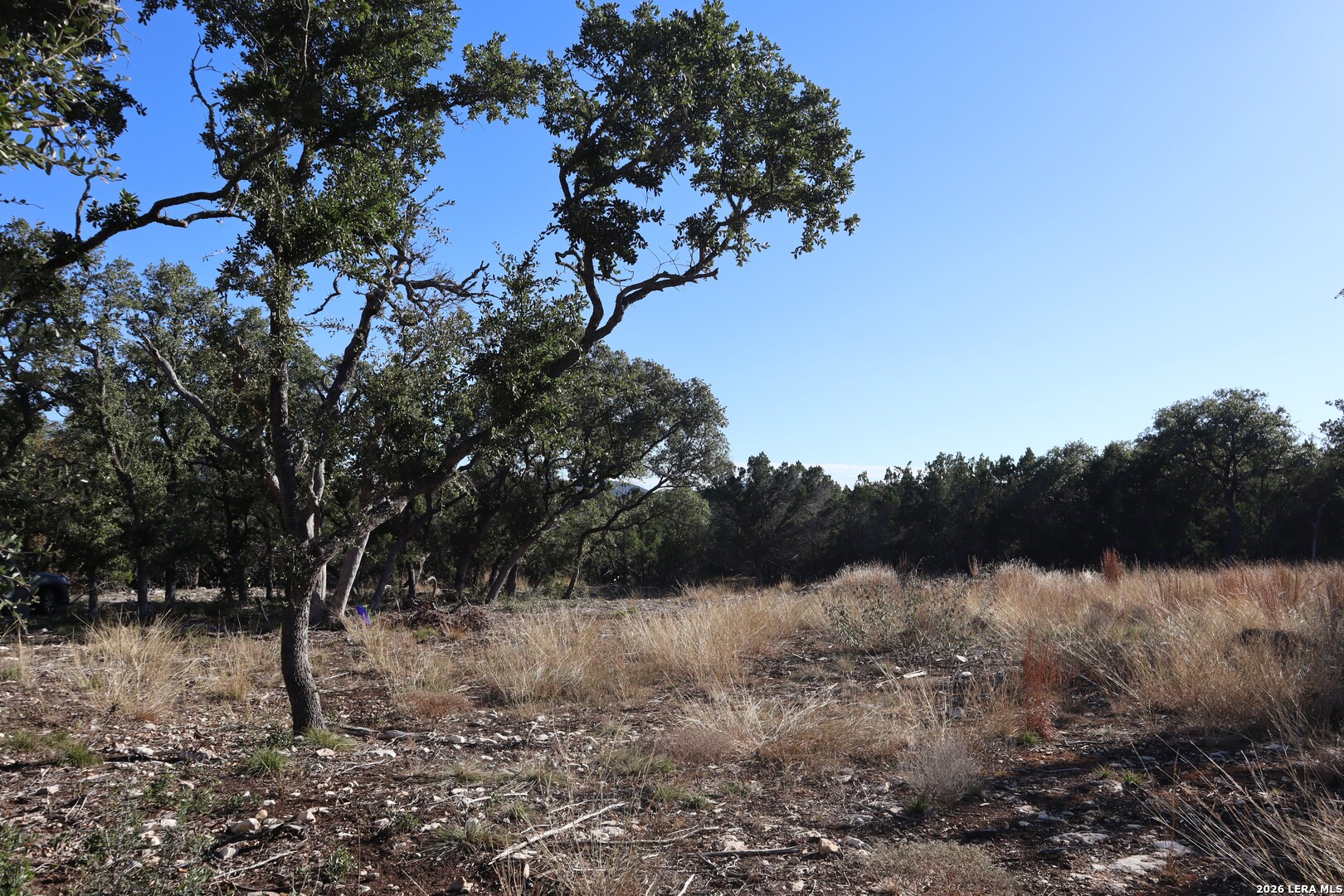 Lot 5 Sophie Bandera TX 78003