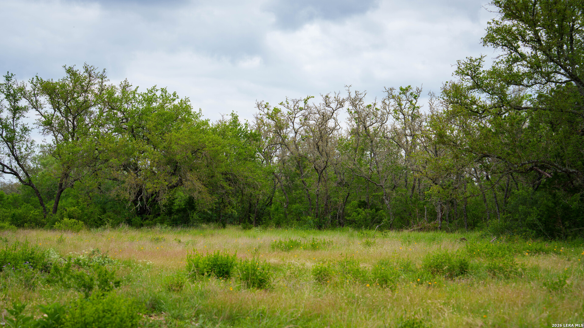 9803 Fm 1796 Dhanis TX 78850