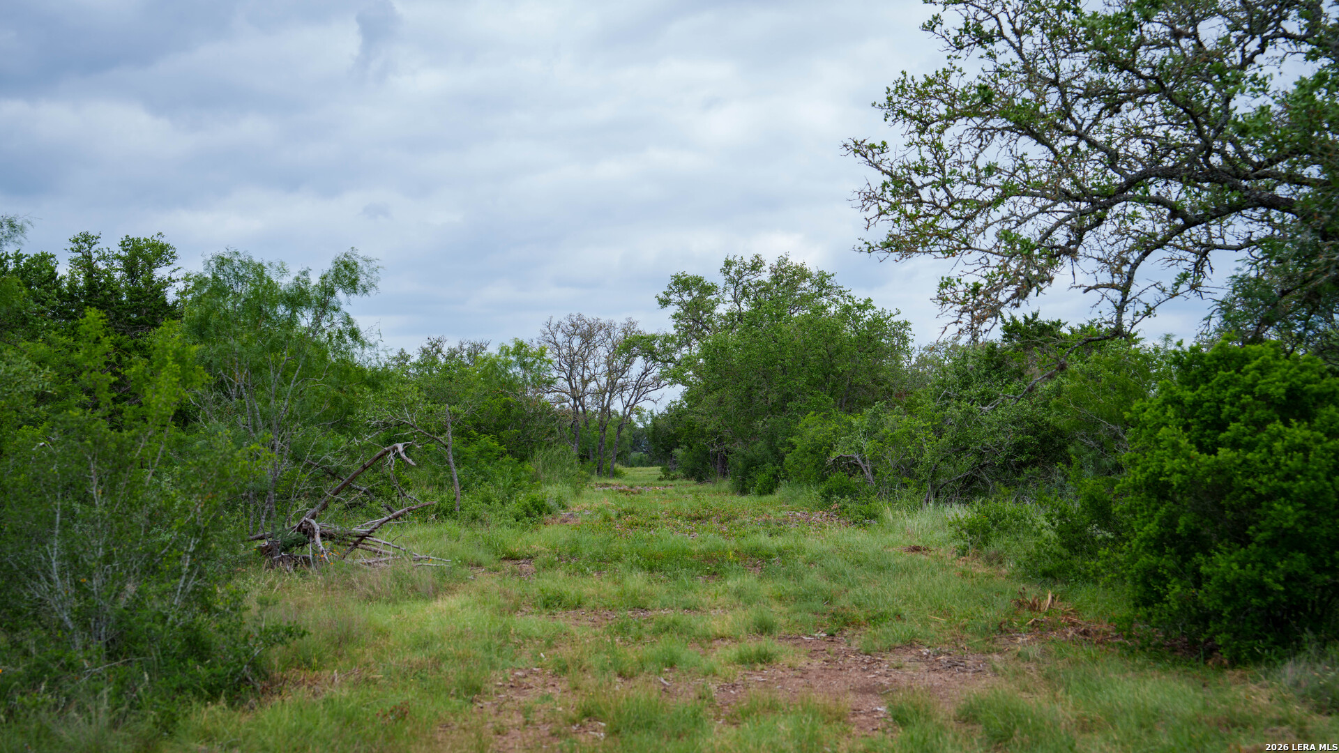 9803 Fm 1796 Dhanis TX 78850