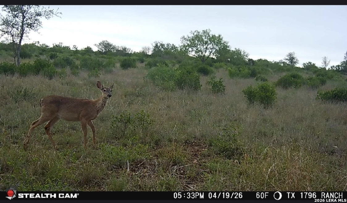 9803 Fm 1796 Dhanis TX 78850