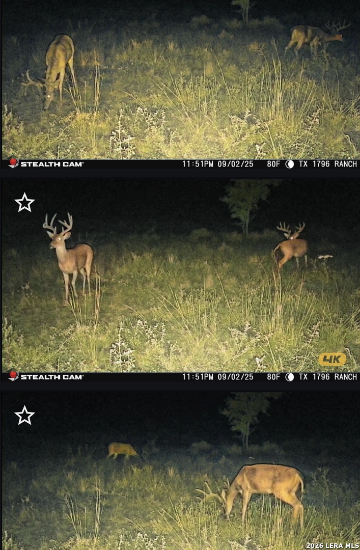 9803 Fm 1796 Dhanis TX 78850