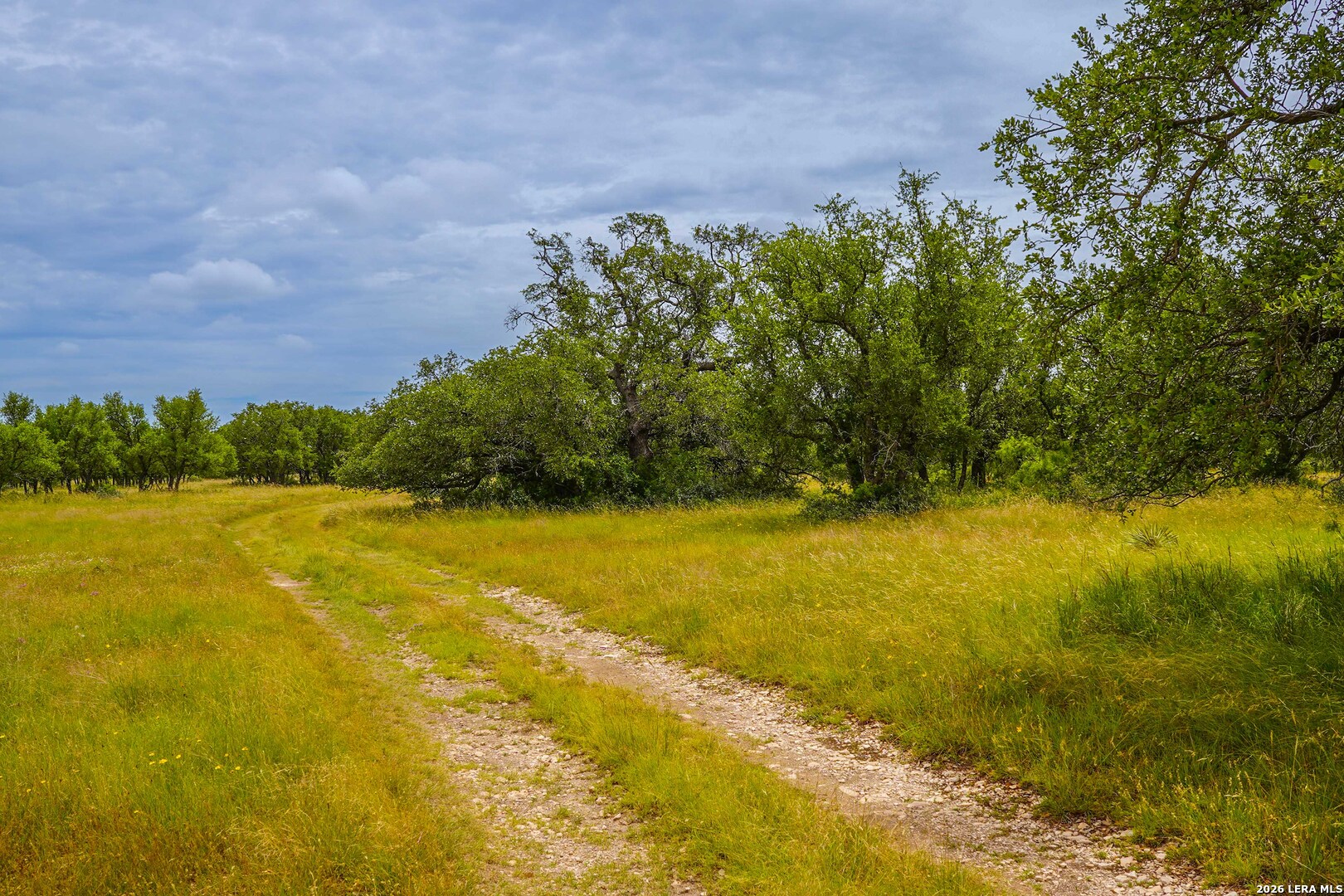 Tbd Treadwell Lane Menard TX 76859