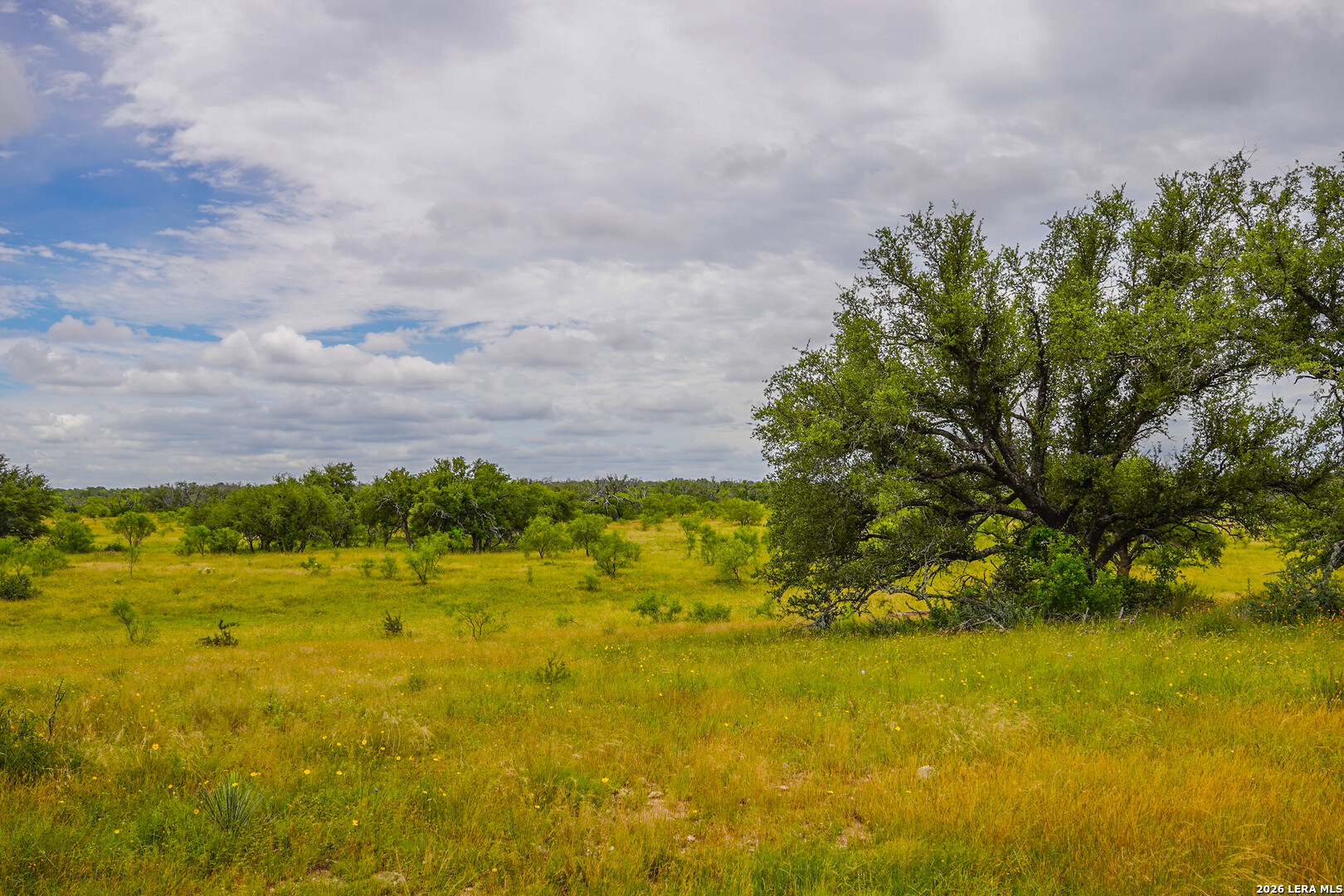 Tbd Treadwell Lane Menard TX 76859