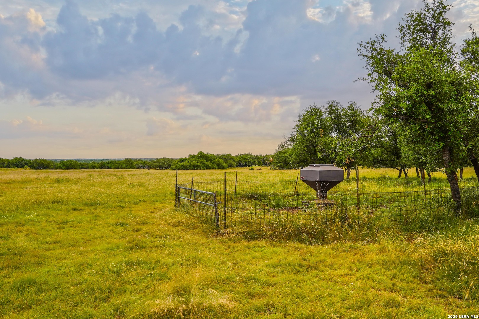 Tbd Treadwell Lane Menard TX 76859
