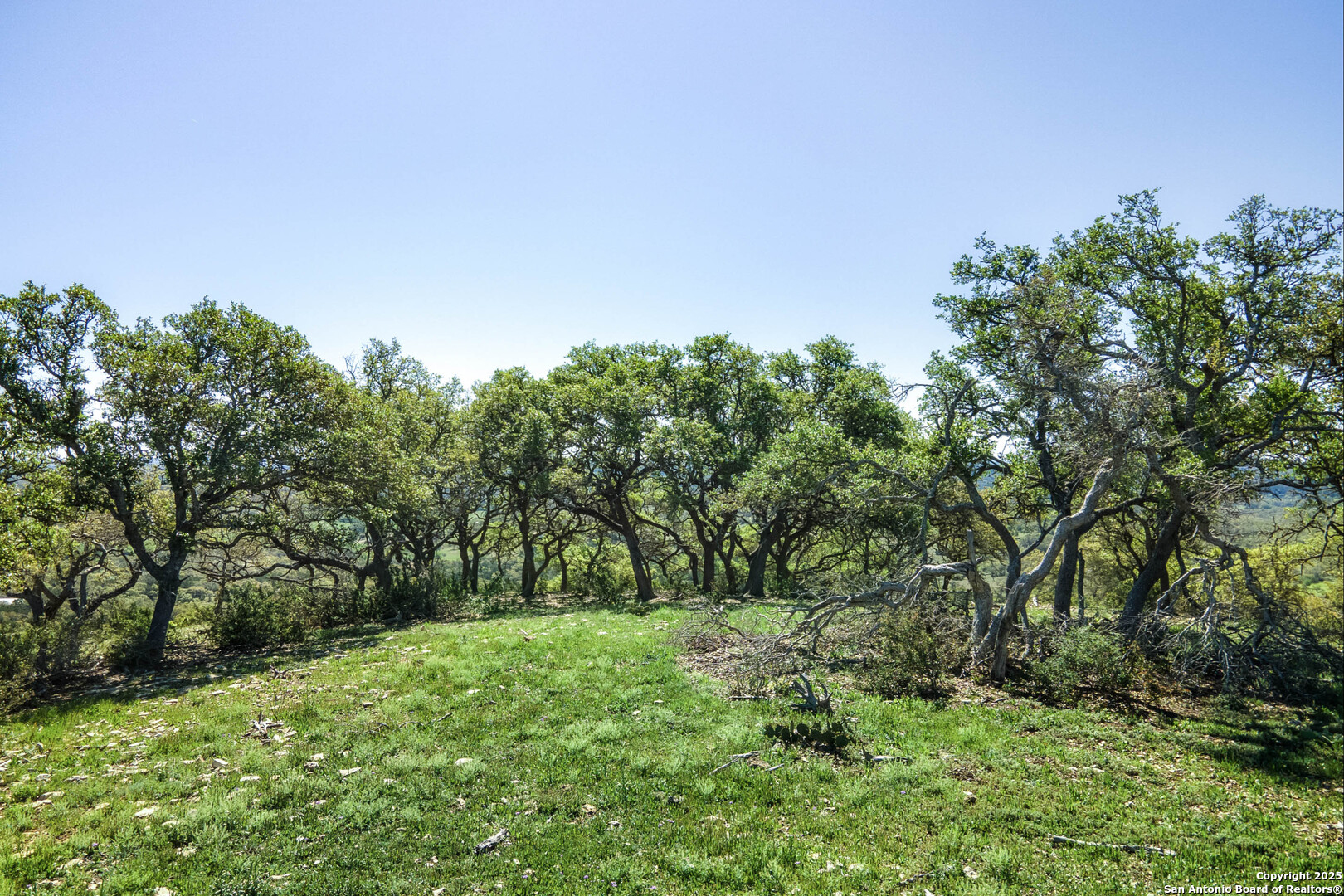 Tbd Kendalia Road Blanco TX 78606