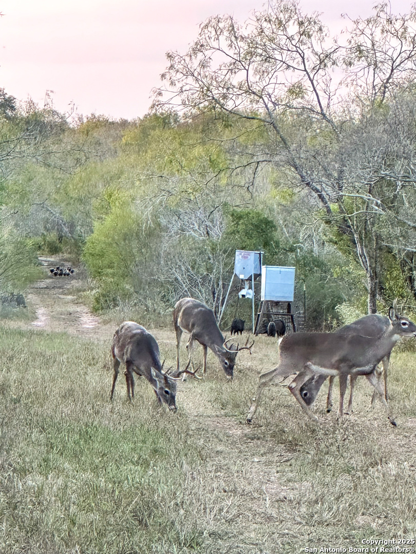 0000 Rockhill Road Kenedy TX 79119
