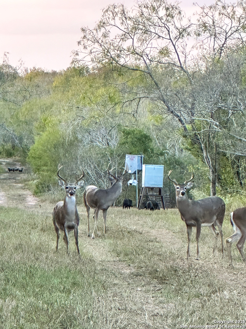0000 Rockhill Road Kenedy TX 79119