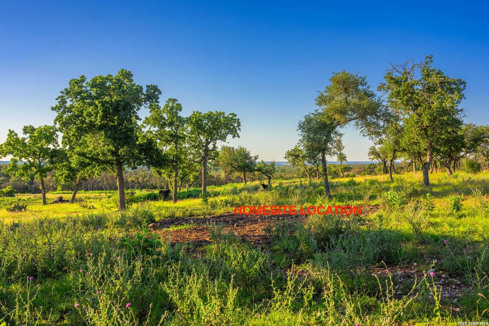 198 Stanley Court Kerrville TX 78028
