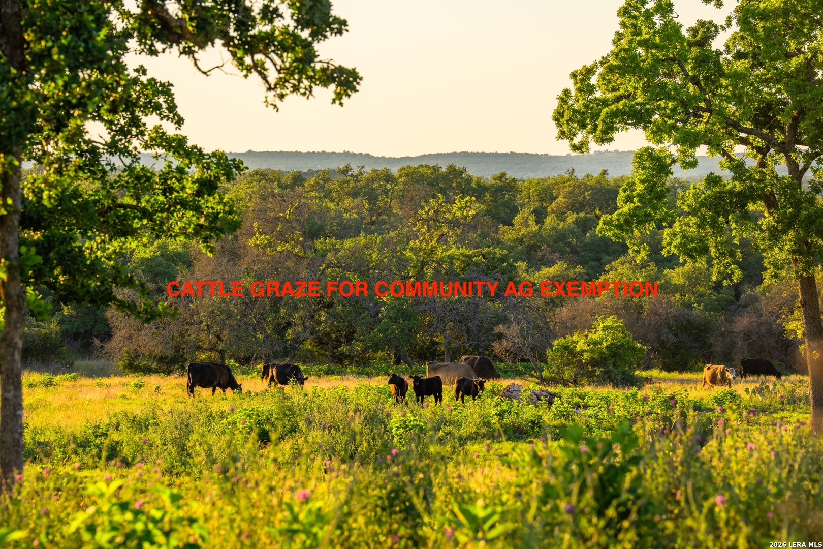 198 Stanley Court Kerrville TX 78028