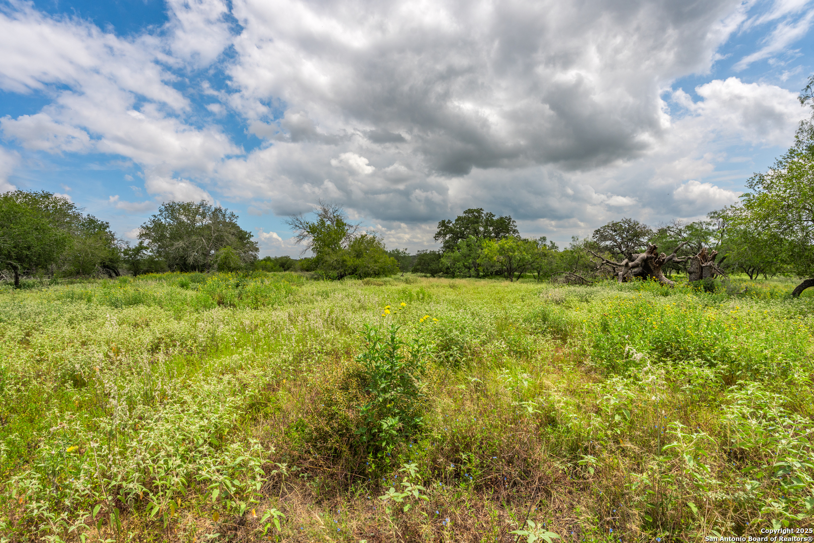 330 S Encino Crossing Natalia TX 78059