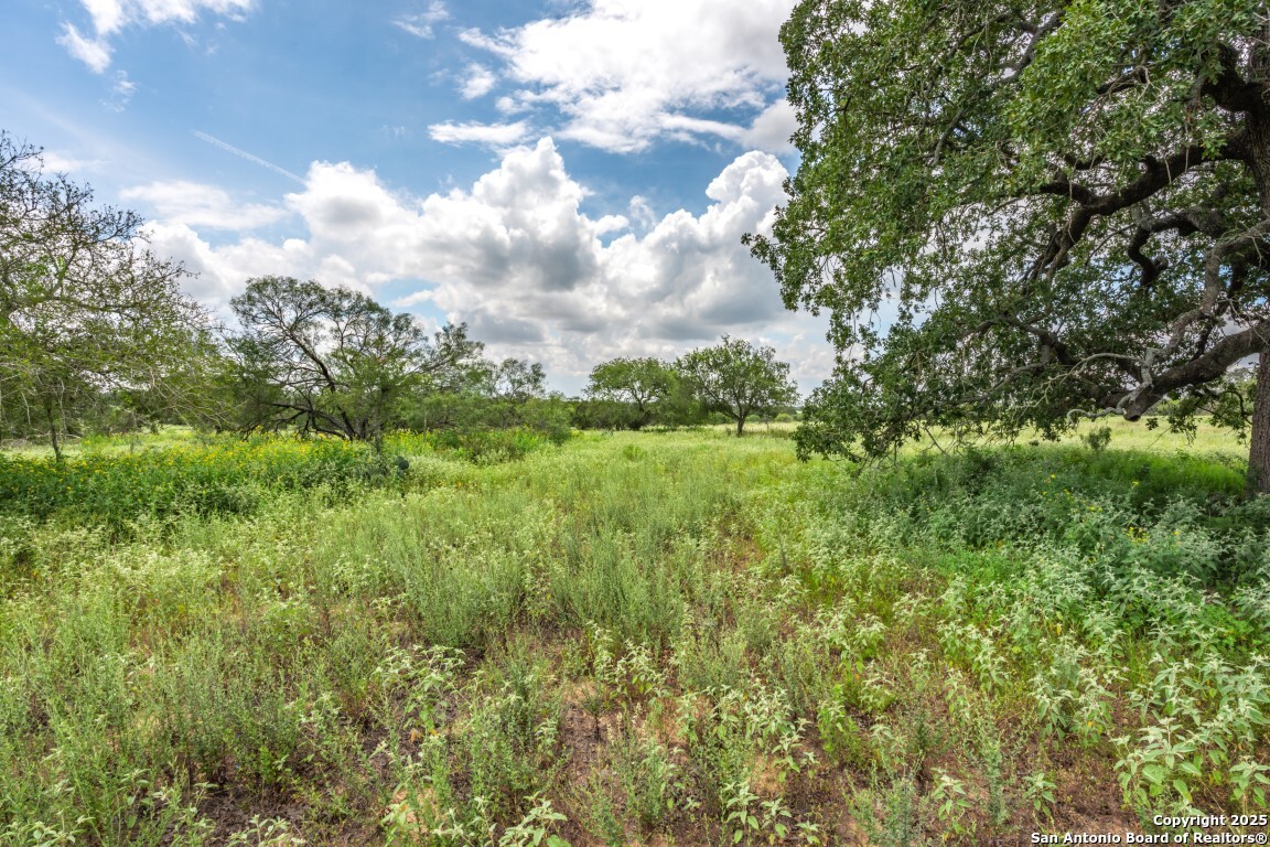 330 S Encino Crossing Natalia TX 78059