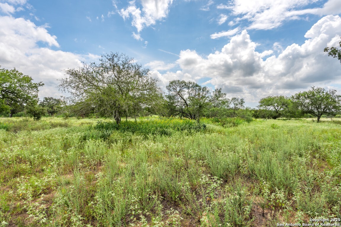 330 S Encino Crossing Natalia TX 78059