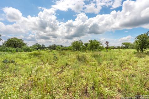330 S Encino Crossing Natalia TX 78059