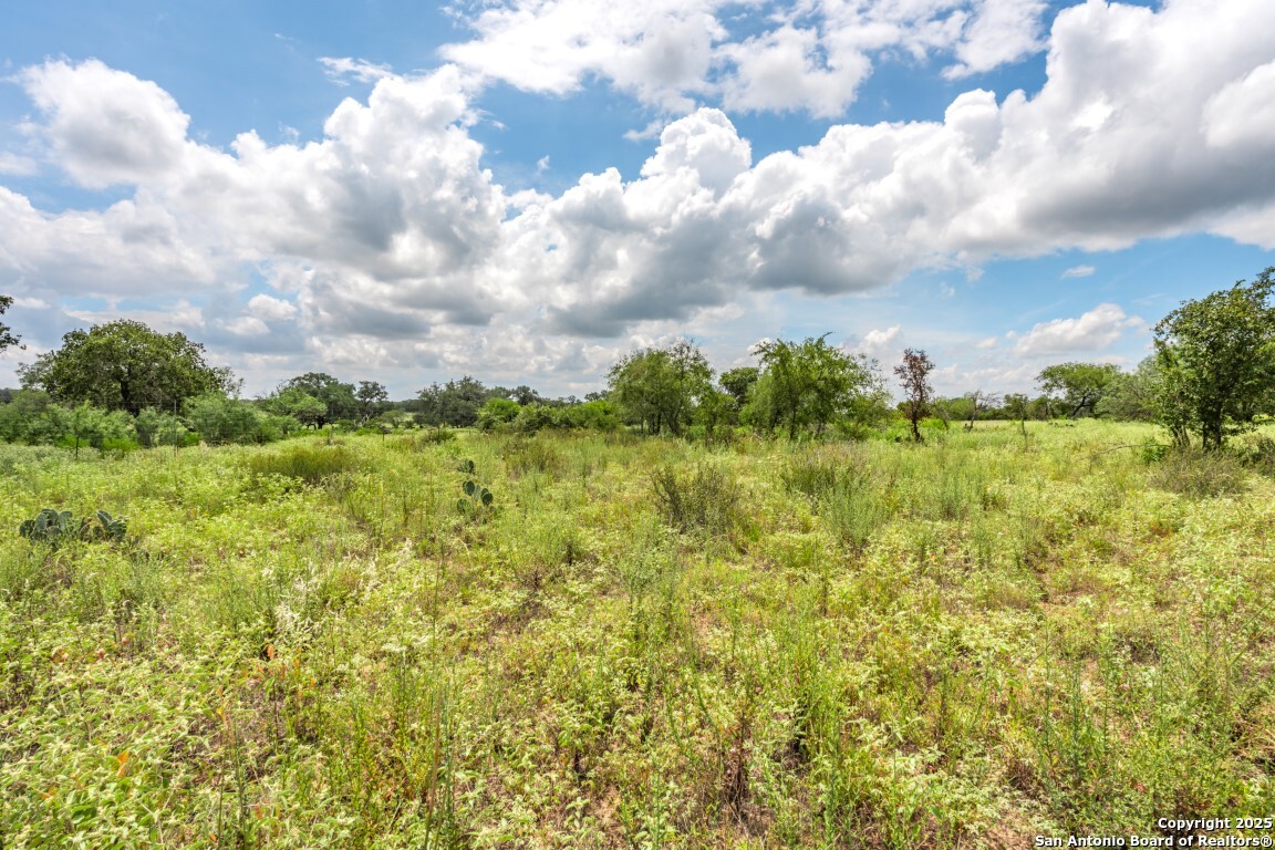 330 S Encino Crossing Natalia TX 78059