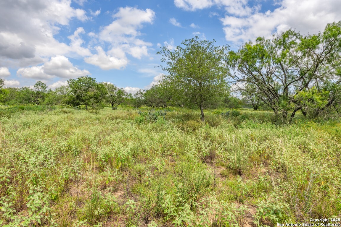 330 S Encino Crossing Natalia TX 78059