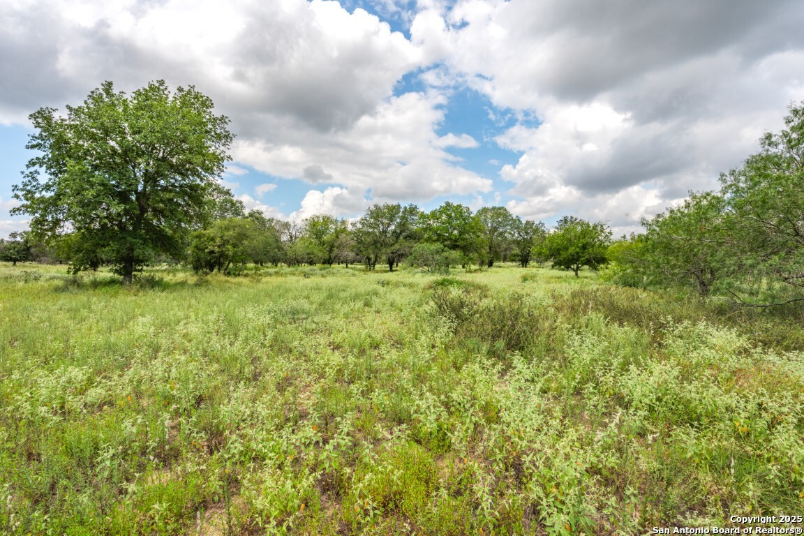 330 S Encino Crossing Natalia TX 78059