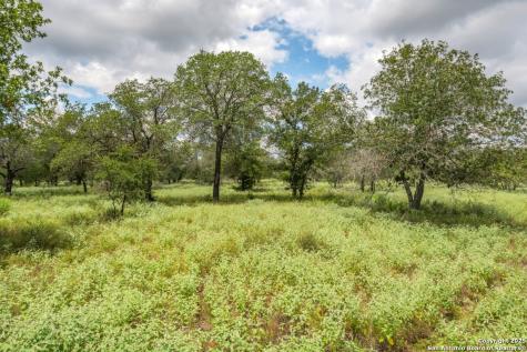 330 S Encino Crossing Natalia TX 78059