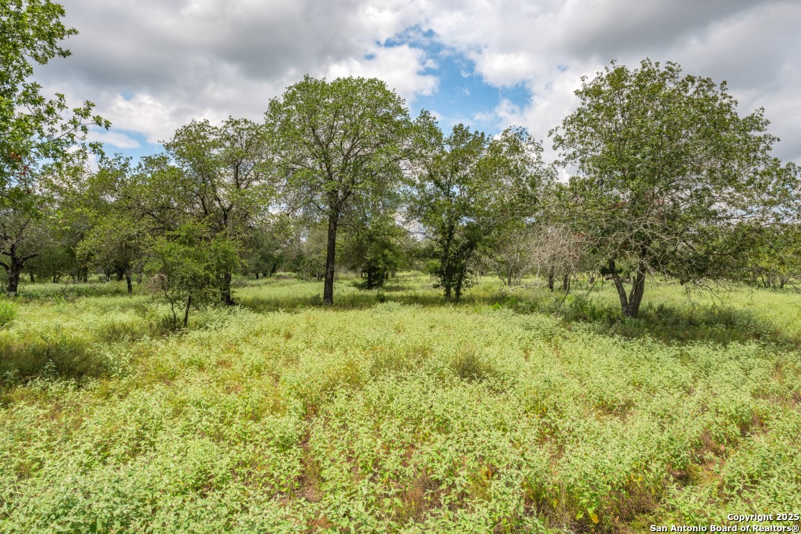 330 S Encino Crossing Natalia TX 78059