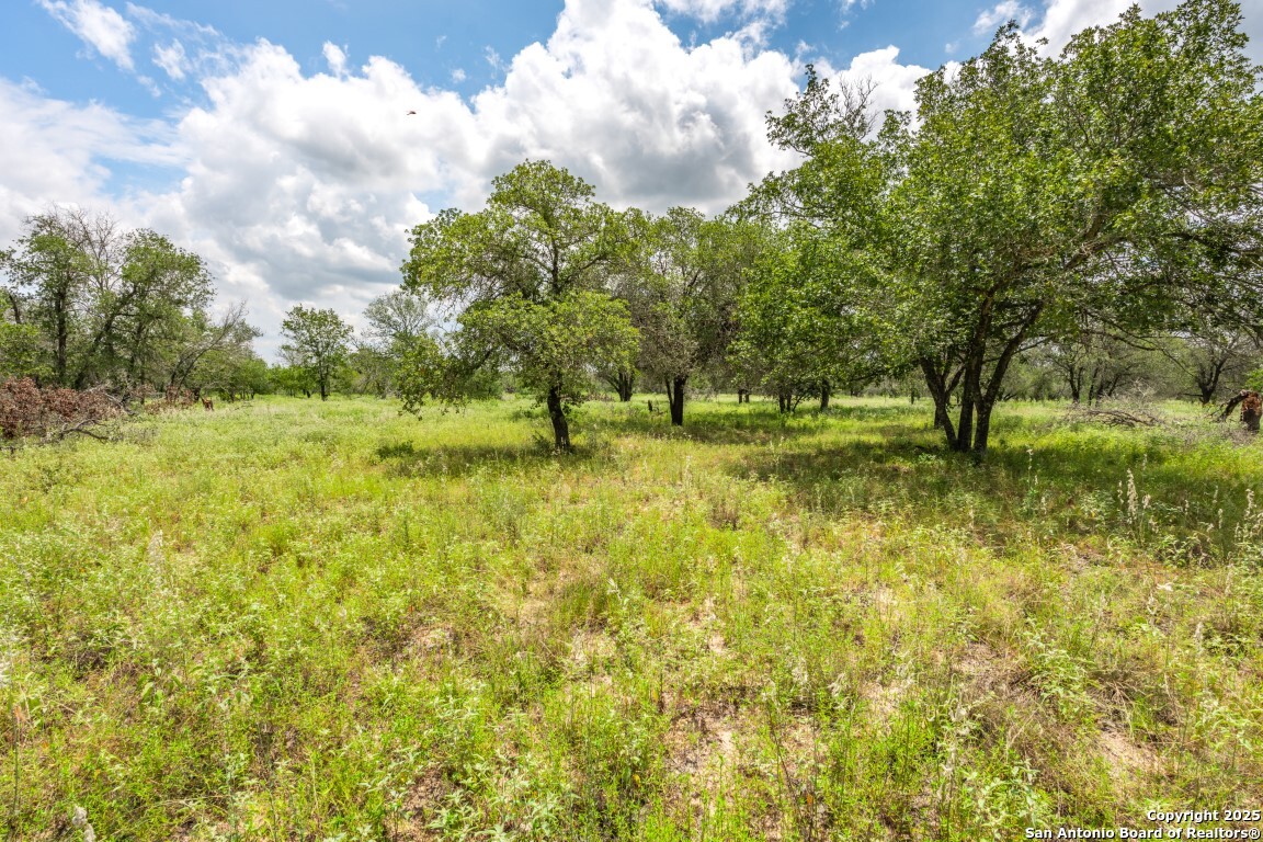 330 S Encino Crossing Natalia TX 78059