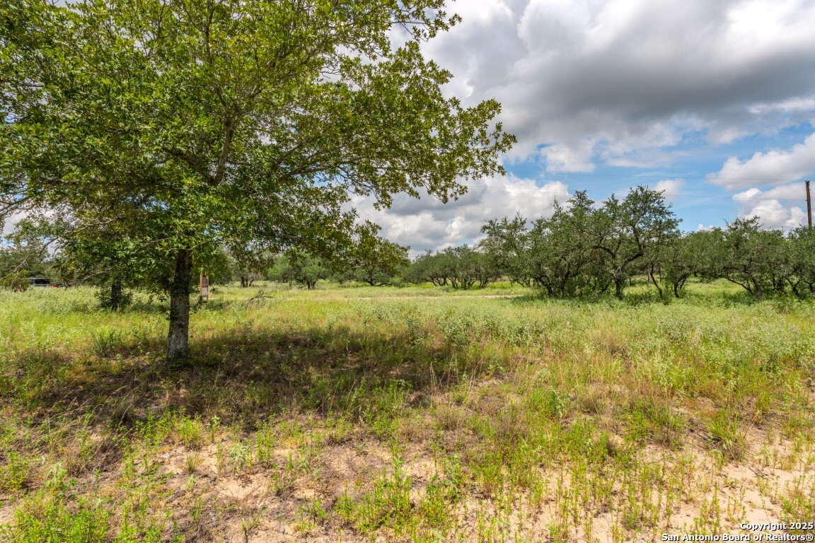 330 S Encino Crossing Natalia TX 78059