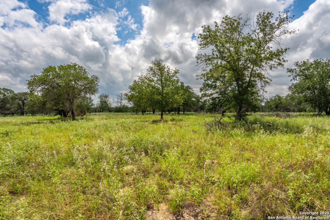 330 S Encino Crossing Natalia TX 78059