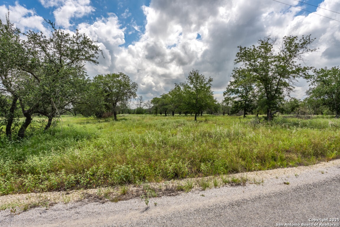 330 S Encino Crossing Natalia TX 78059