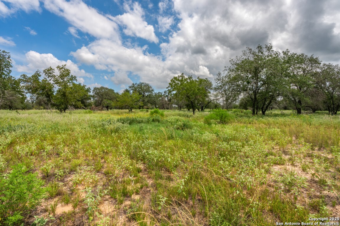 330 S Encino Crossing Natalia TX 78059
