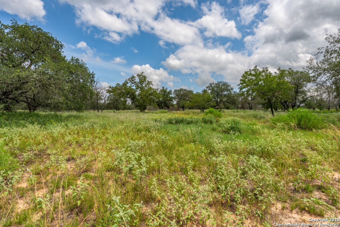 330 S Encino Crossing Natalia TX 78059