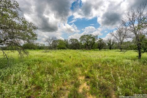 330 S Encino Crossing Natalia TX 78059