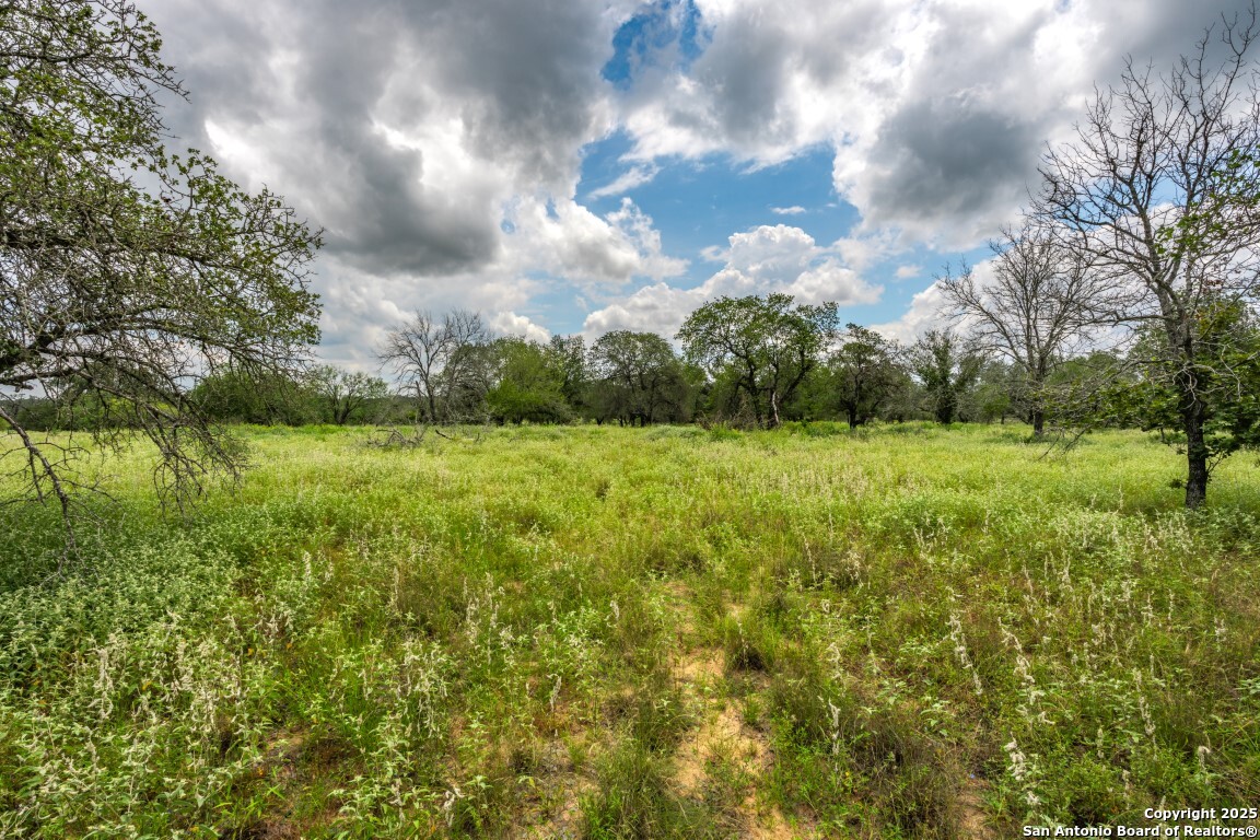 330 S Encino Crossing Natalia TX 78059