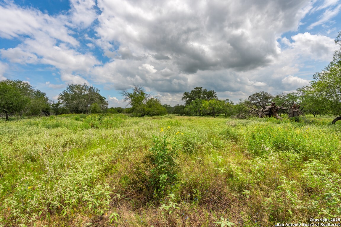 330 S Encino Crossing Natalia TX 78059