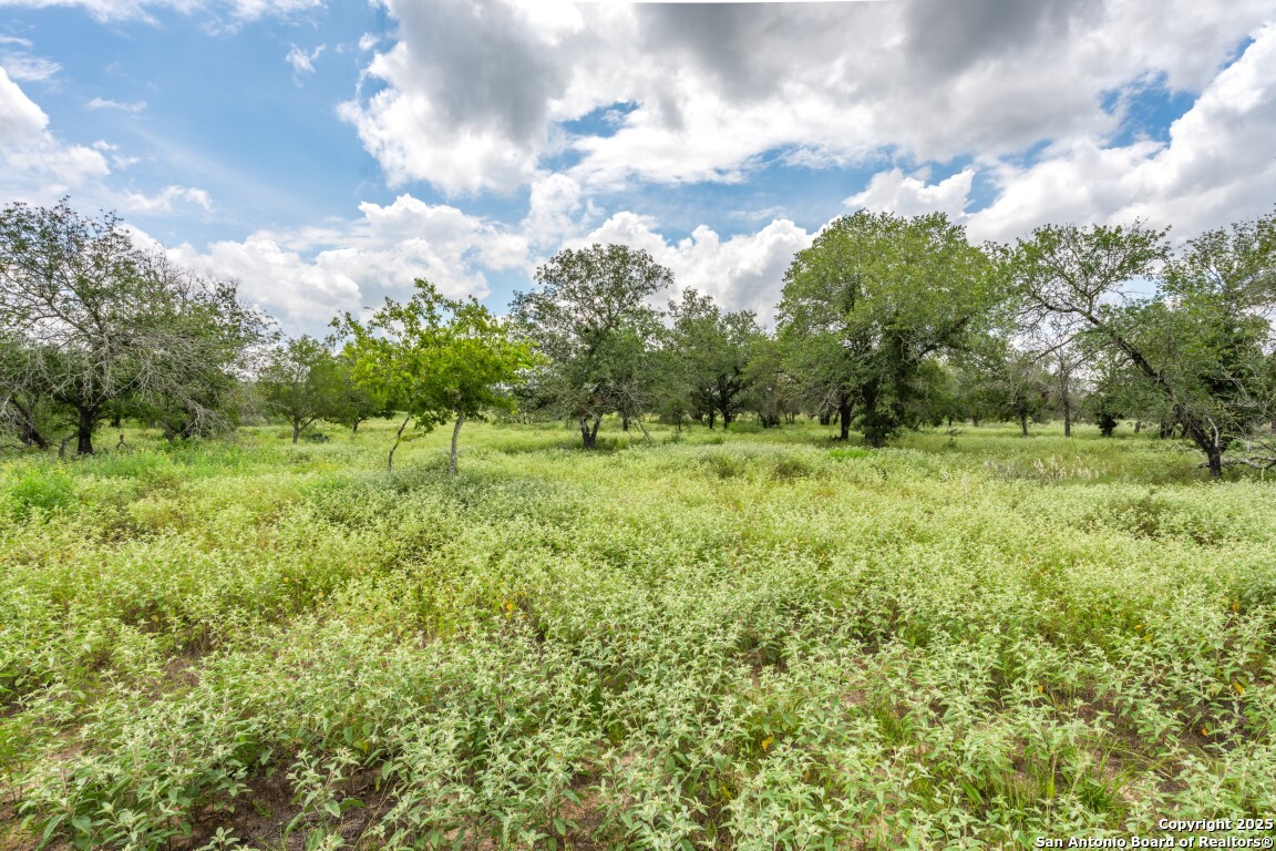 330 S Encino Crossing Natalia TX 78059