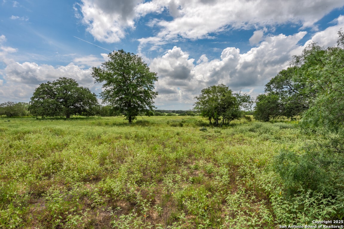 330 S Encino Crossing Natalia TX 78059