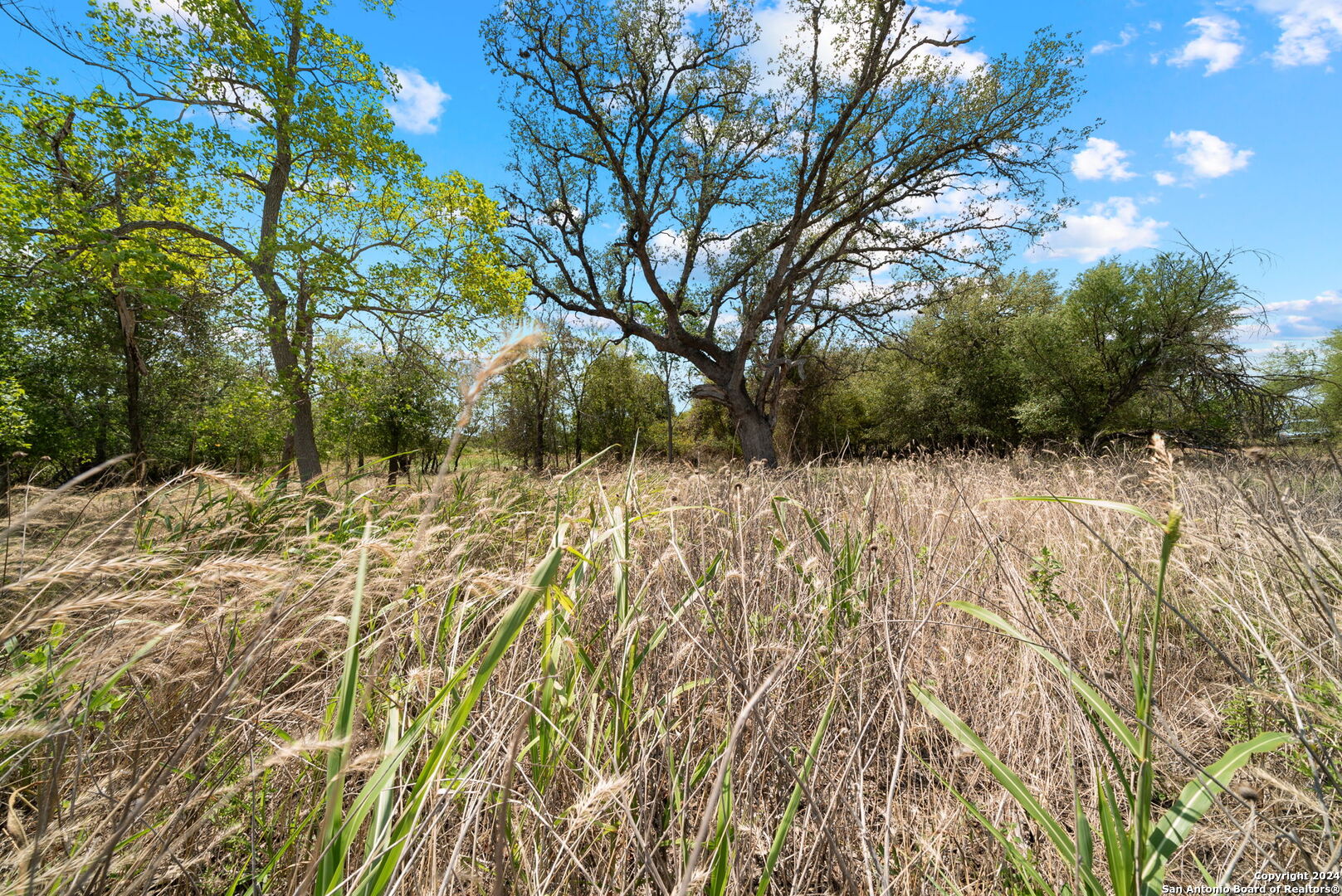 Tbd Highway 90 Castroville TX 78009
