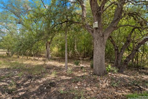 Tbd Highway 90 Castroville TX 78009
