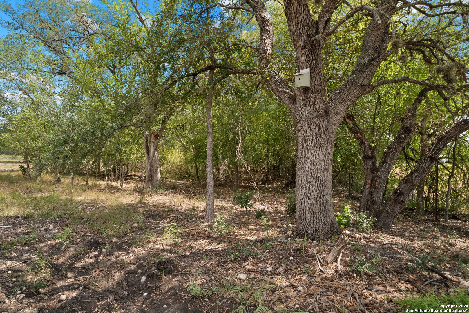 Tbd Highway 90 Castroville TX 78009