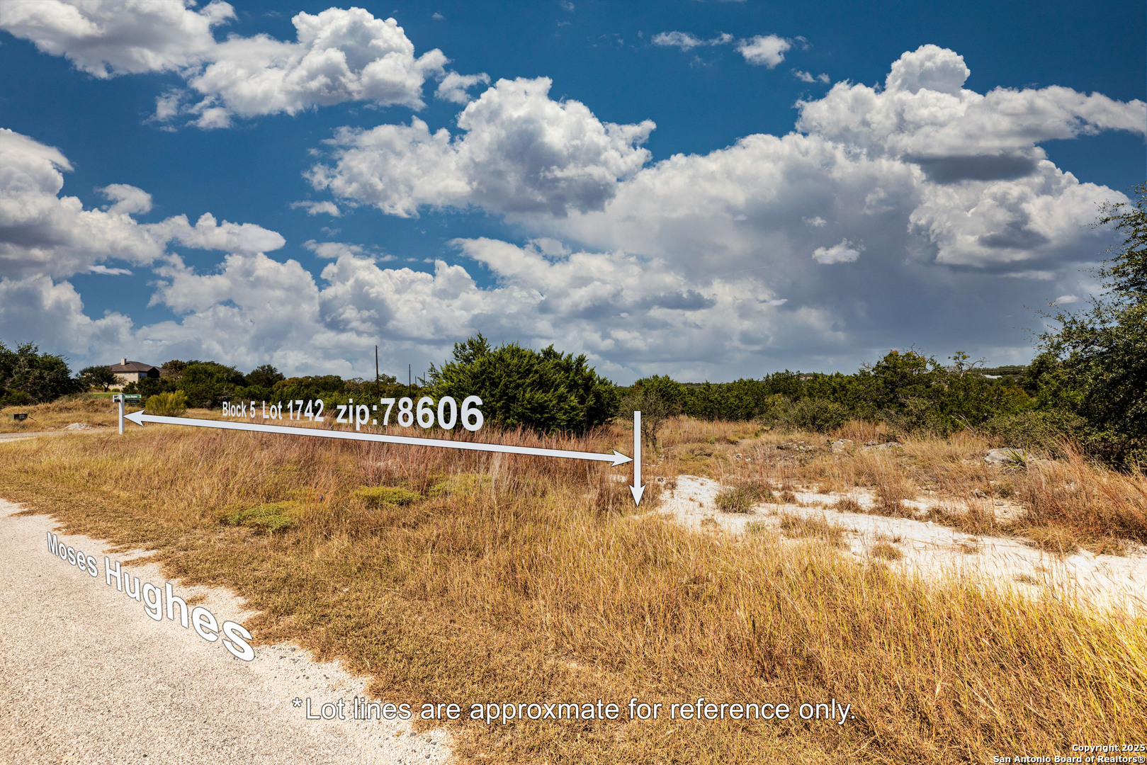 123 Levi English Blanco TX 78606