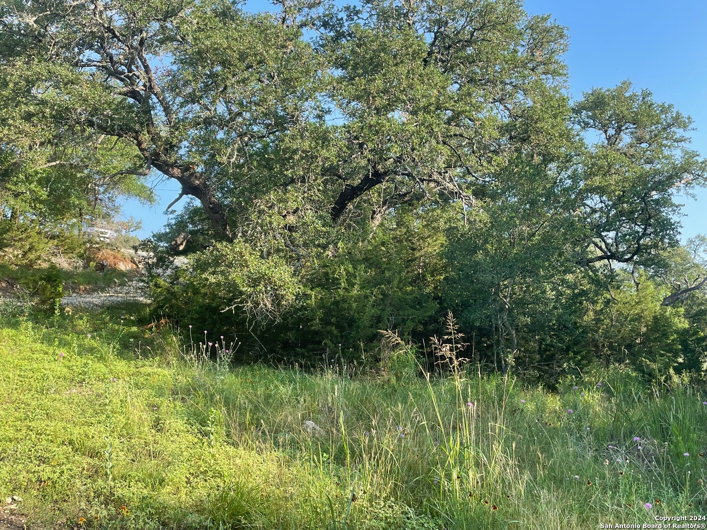 1409 Lavaca Canyon Lake TX 78133