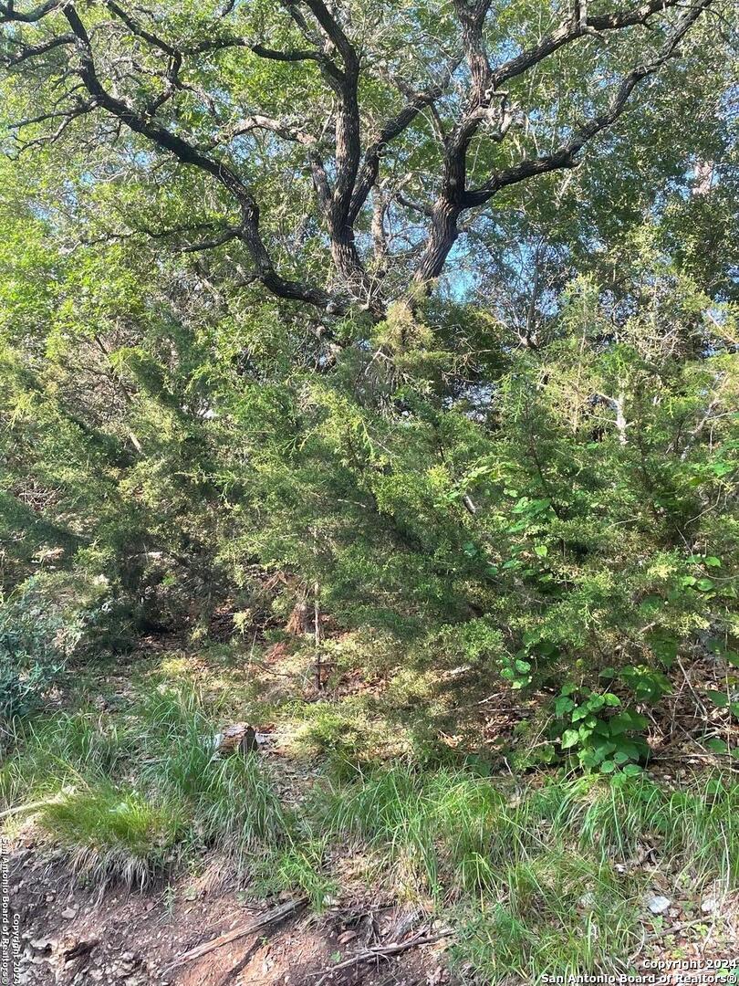 1409 Lavaca Canyon Lake TX 78133