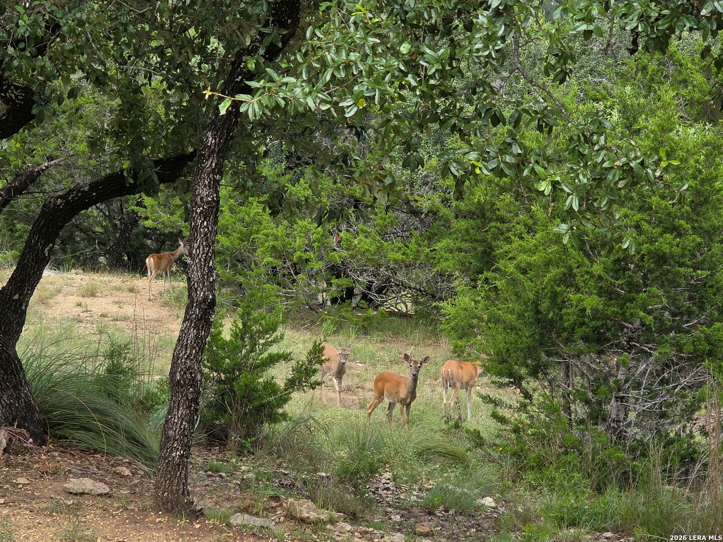 195 Eagle Crest Spring Branch TX 78070